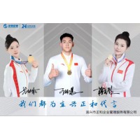 2026年1月實(shí)物印章廠家推薦，資質(zhì)技術(shù)案例三維硬核測(cè)評(píng)