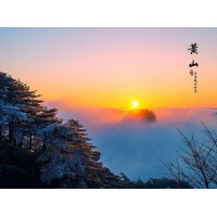 2026年2月山東旅行社加盟深度測評與推薦